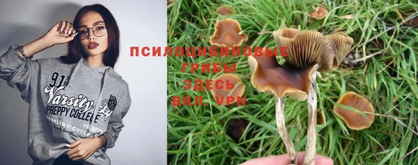 а пвп мука Абдулино